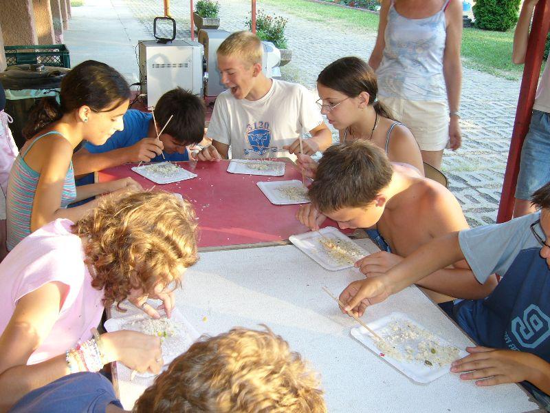 2007012.jpg